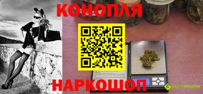 гашик Жуковский