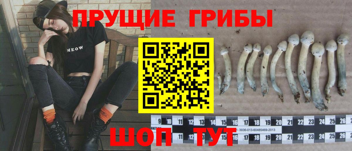 Псилоцибиновые грибы MAGIC MUSHROOMS  Вход с VPN  Арзамас  Псилоцибиновые грибы Magic Shrooms 
